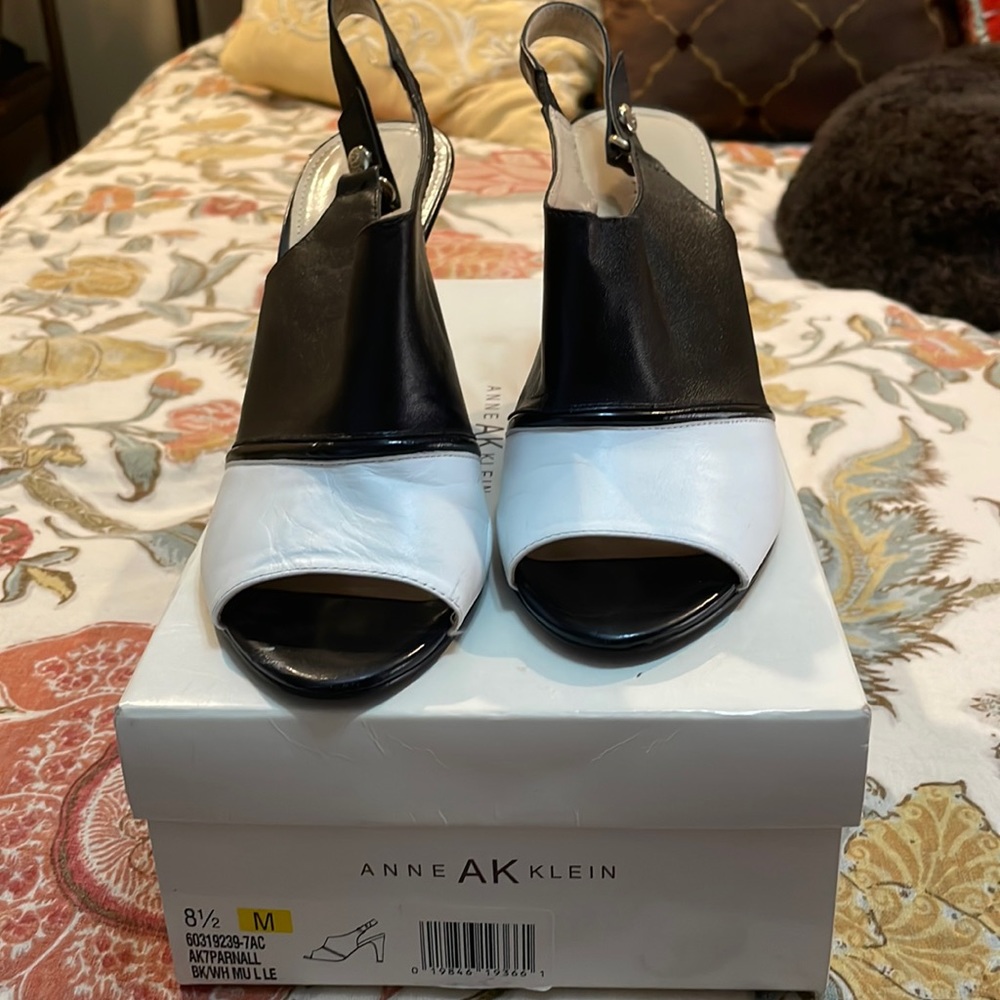 The Black and White Shoe